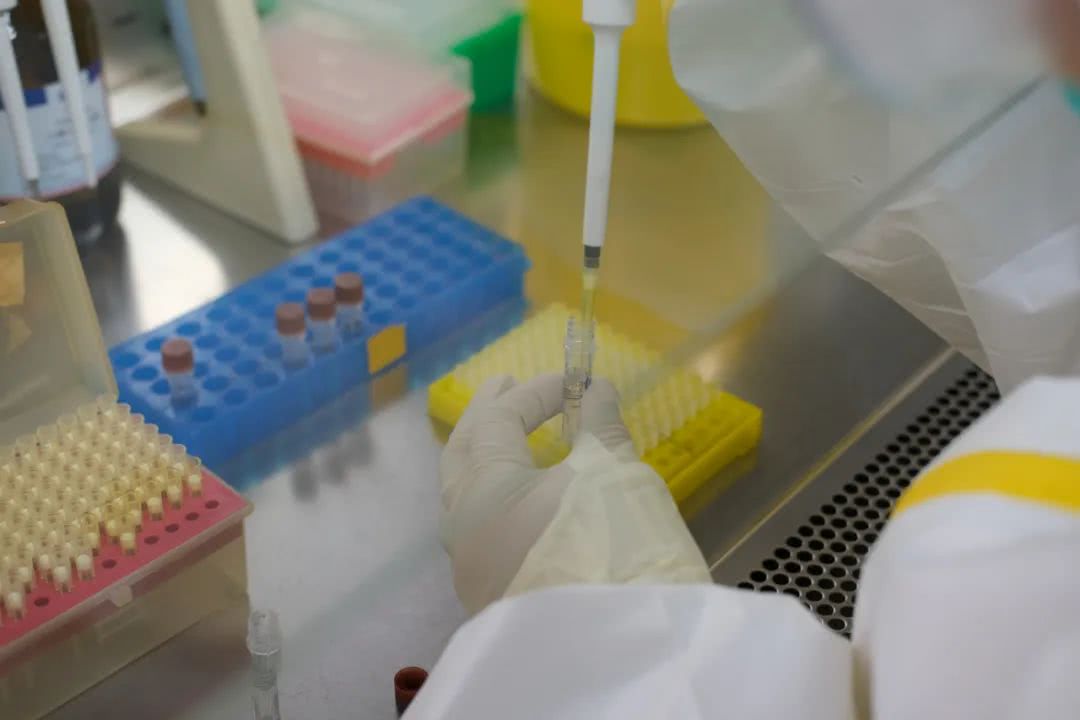 核酸檢測(cè)又降價(jià)！多地增設(shè)24小時(shí)檢測(cè)服務(wù)機(jī)構(gòu)